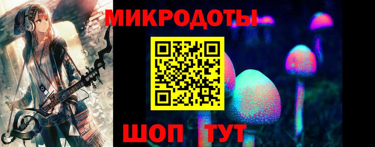 Новозыбков  Псилоцибиновые грибы ЛСД  Вход с VPN 